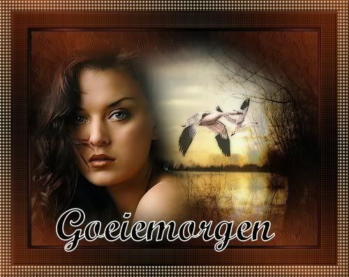 goeiemorgen Pictures, Images and Photos