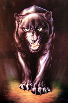 Panther3.jpg