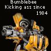 Optimal»¤«Bumblebee Avatar