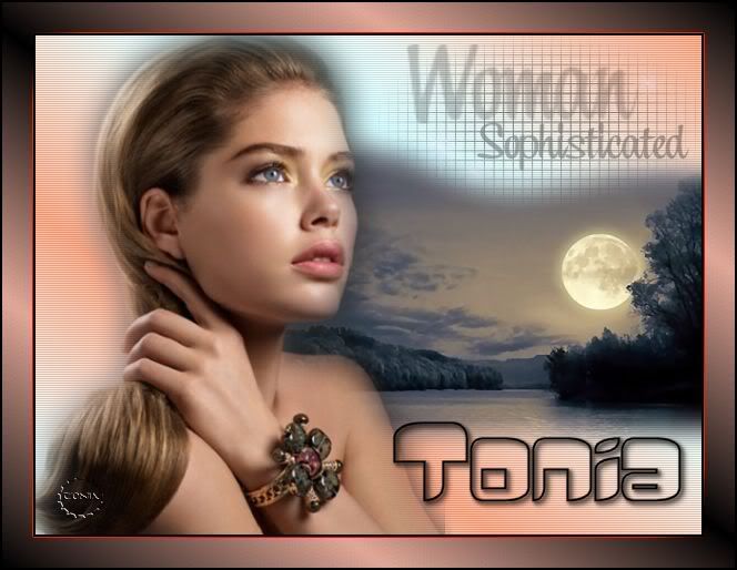 Tareainter-43-4.jpg picture by Tonian8