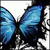 - Little Butterfly -  Avatar