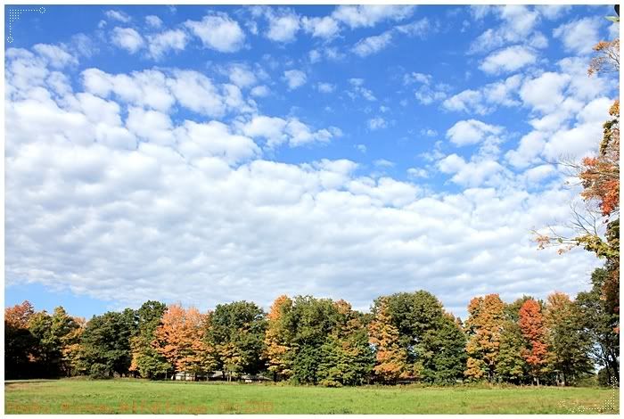 New England Fall Foliage, Waltham, MA, USA
