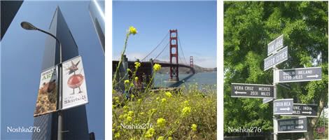 LA Down Town|Golden Gate Bridge|San Jose