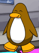 club penguin Pictures, Images and Photos