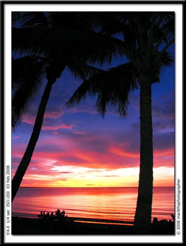 IMAGE: http://i200.photobucket.com/albums/aa138/Coastwatch203/PalmSunset.jpg