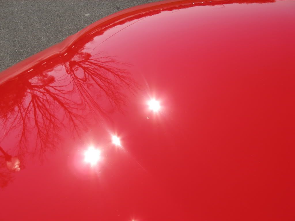 IMG_2459.jpg
