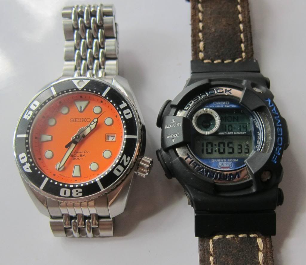 casio vs seiko watches