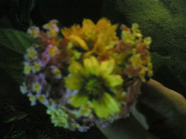 bulaklak bulaklak