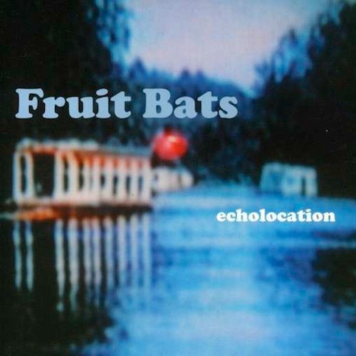fruit-bats-echolocation_zps7474389a.jpeg