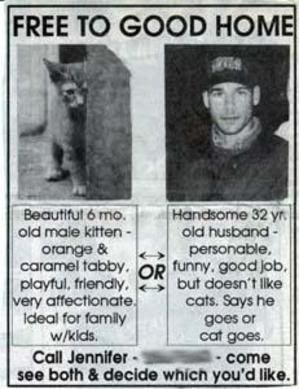 you pick- the cat, or the husband? Pictures, Images and Photos