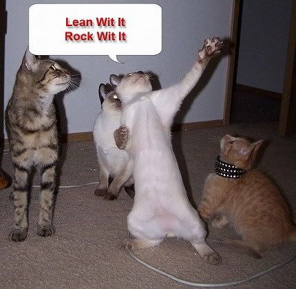 funny-dancing-cats.jpg Funny dancing cats image by Quietdarkness