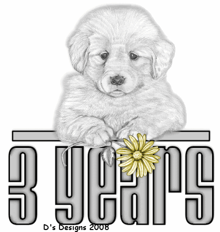 DsDesigns3years.gif picture by 55hockeyfan