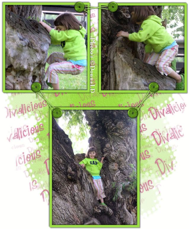 DsDesignsBugTreeClimbing.jpg picture by 55hockeyfan