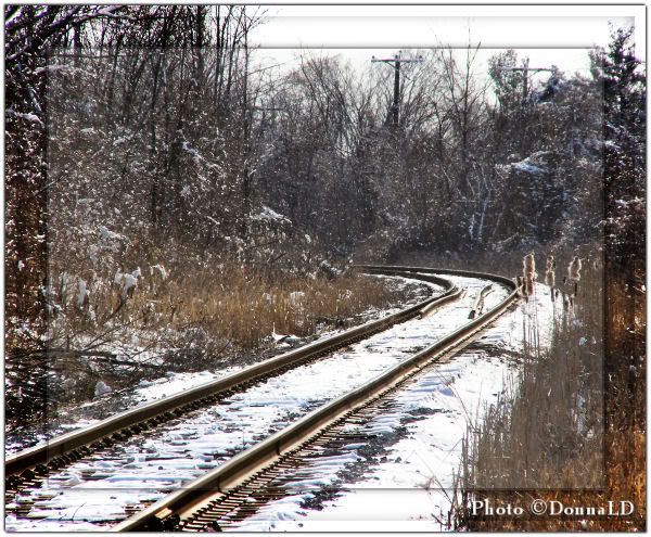 DsDesignsRailroadTracks.jpg picture by 55hockeyfan