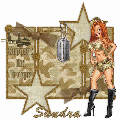 DsDesignsSupporttheTroopssandra.gif picture by 55hockeyfan