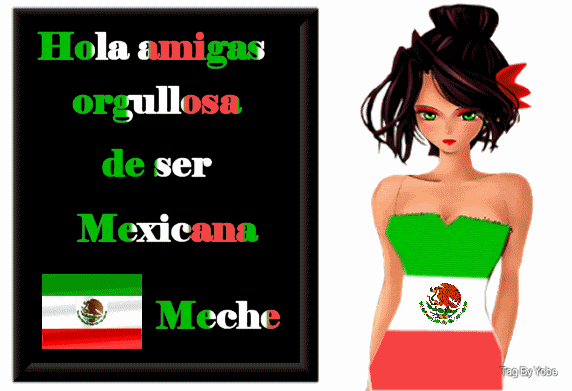 MECHEbanderamex17540meche.gif MEX MECHE picture by juanita_bb