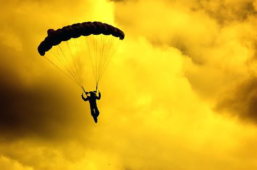 SkyDiving at it's best Pictures, Images and Photos