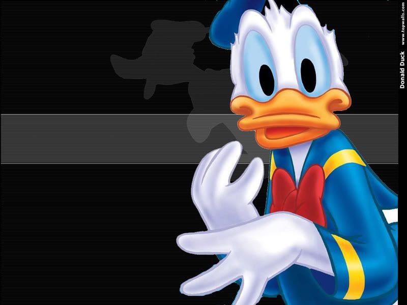 wallpaper donald duck. WALT DISNEY - Donald Duck