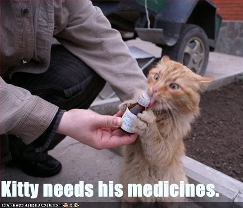 cat medicine Pictures, Images and Photos