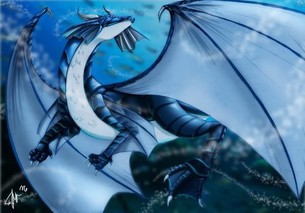 water dragon engraving