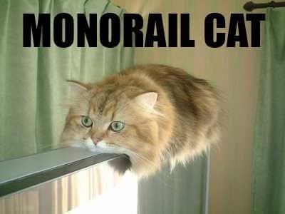 monorail cat gif. Monorailcat