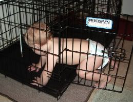 cage