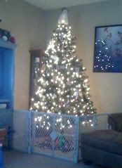tree
