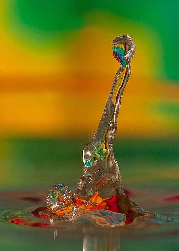 Water Drop Photography Setuptips The Photography Forum