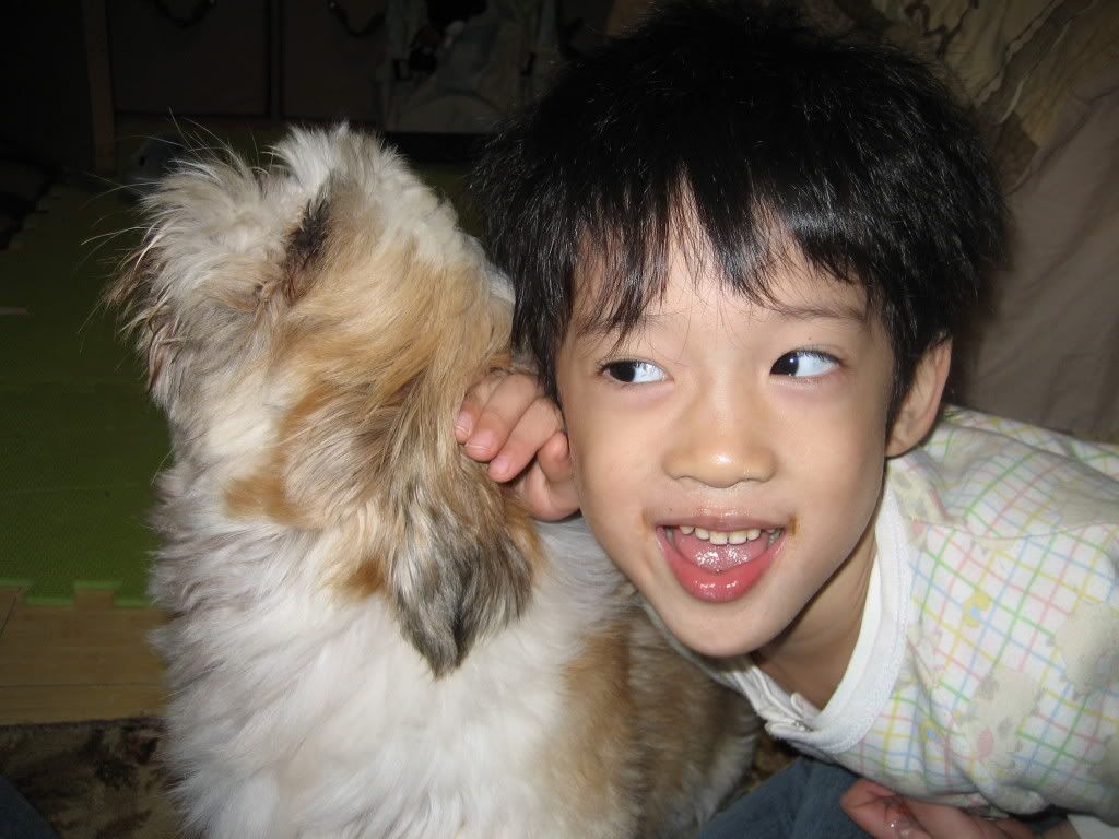 圖檔