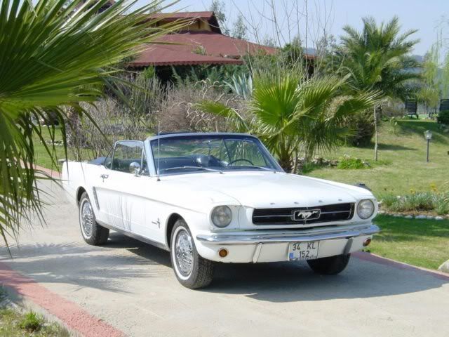 1965_Mustang_Convertible.jpg