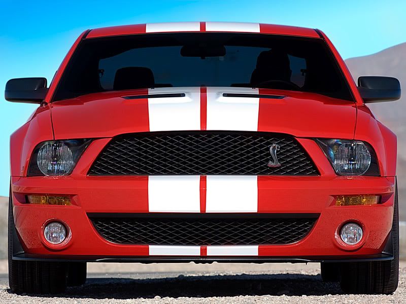 2007_Shelby_GT500_Coupe06.jpg