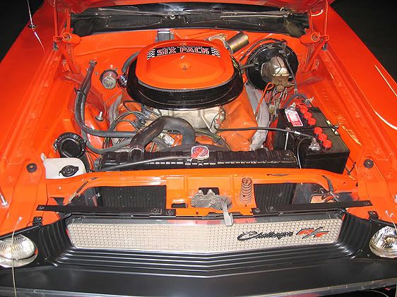 c7ad31e4dc.jpg