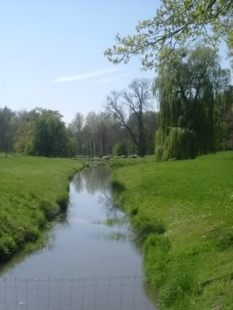 guerredelavache05.jpg