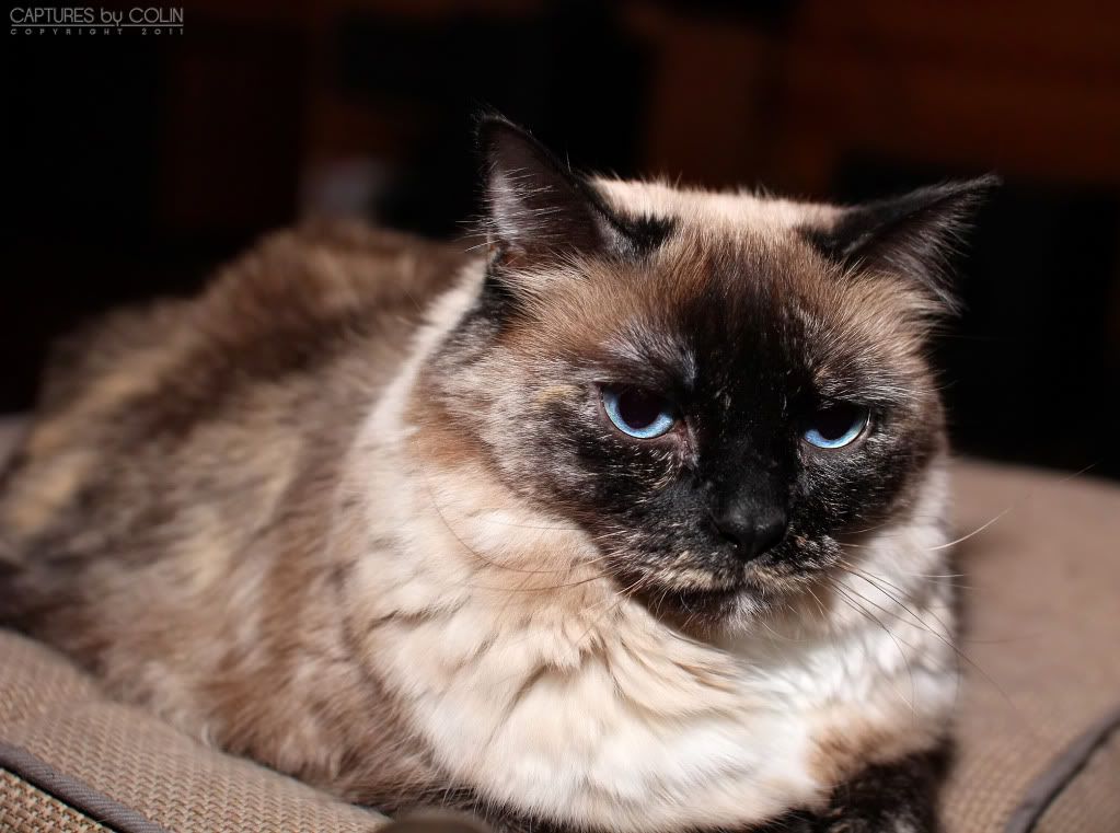 IMAGE: http://i200.photobucket.com/albums/aa229/bmwcolin/IMG_1372-1.jpg