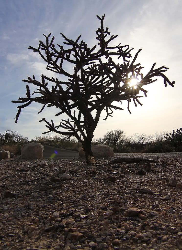 IMAGE: http://i200.photobucket.com/albums/aa229/bmwcolin/IMG_3505sm.jpg