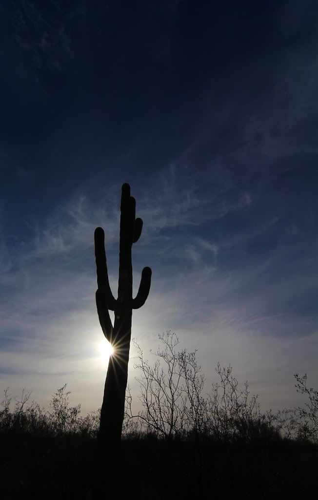 IMAGE: http://i200.photobucket.com/albums/aa229/bmwcolin/IMG_3516ps.jpg