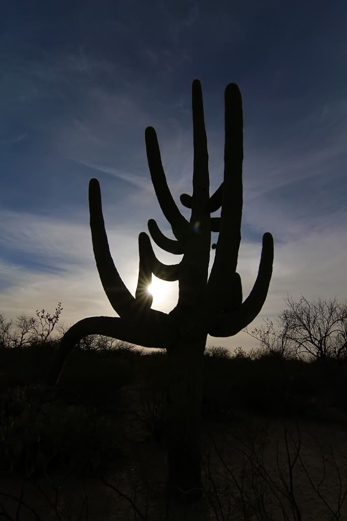 IMAGE: http://i200.photobucket.com/albums/aa229/bmwcolin/IMG_3526sm.jpg