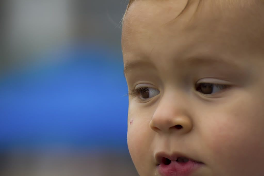 IMAGE: http://i200.photobucket.com/albums/aa229/bmwcolin/IMG_8065ps.jpg