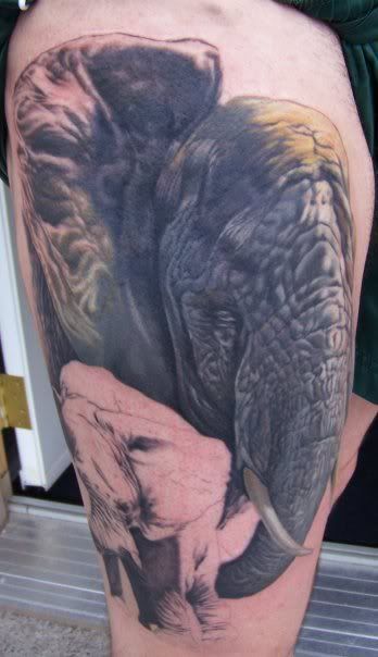 elephant tattoo designs. Labels: tattoo design elephant