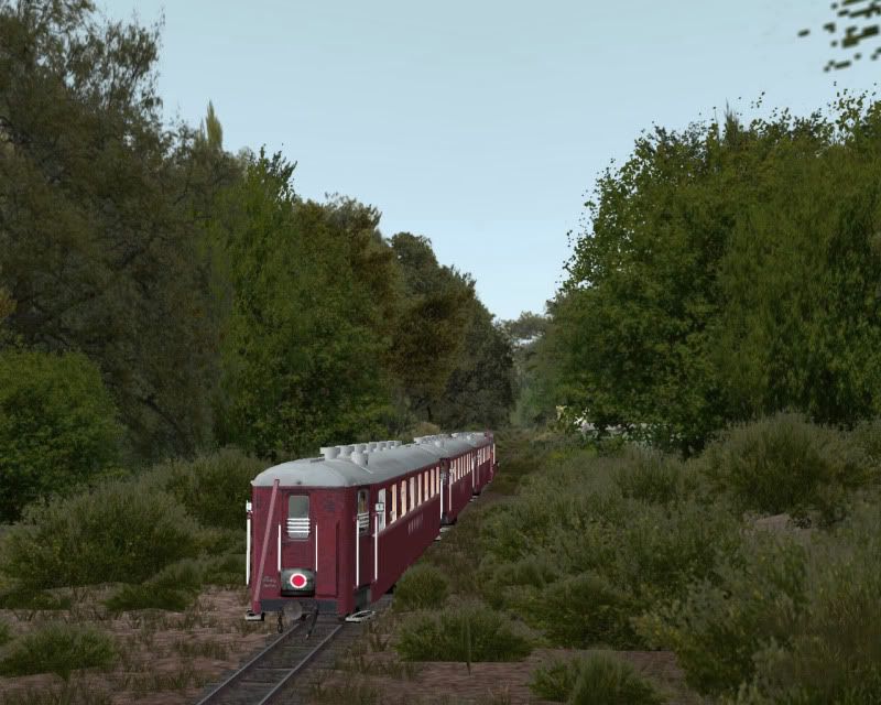 177414f7.jpg