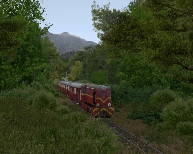 d55c5bf6.jpg