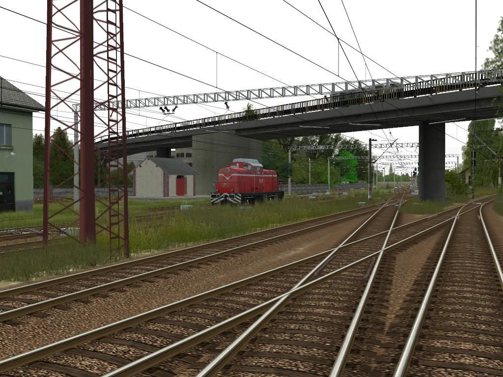fds11.jpg