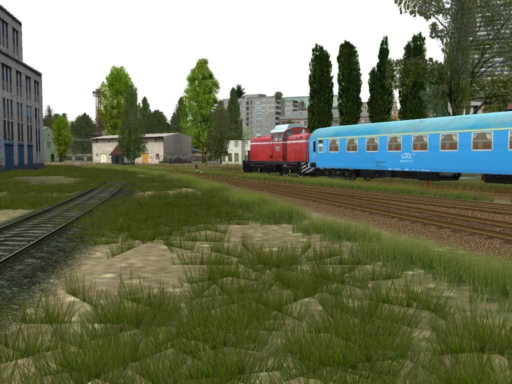 fds19.jpg