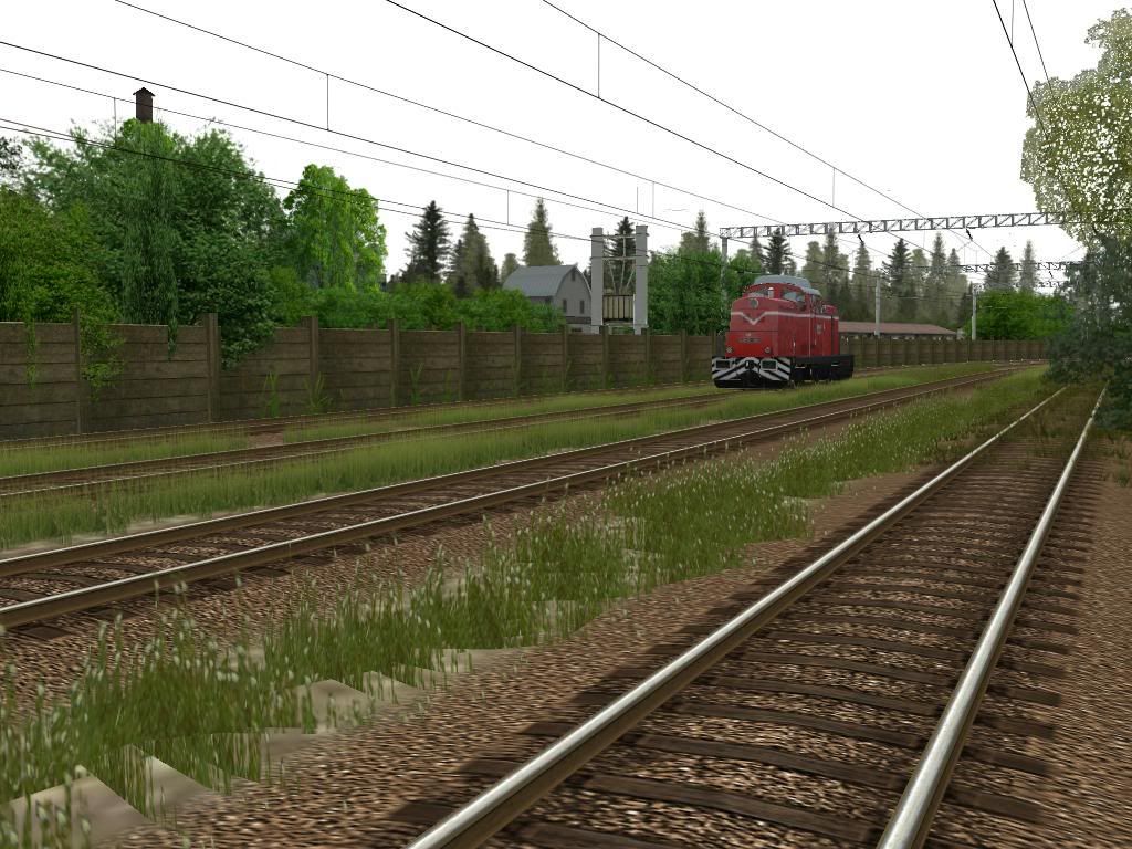 fds8.jpg