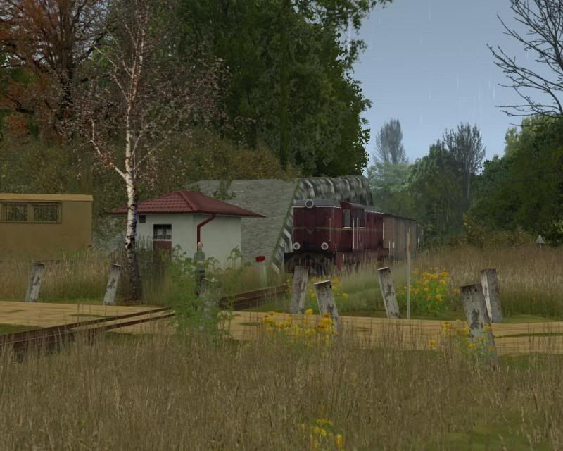 l45.jpg