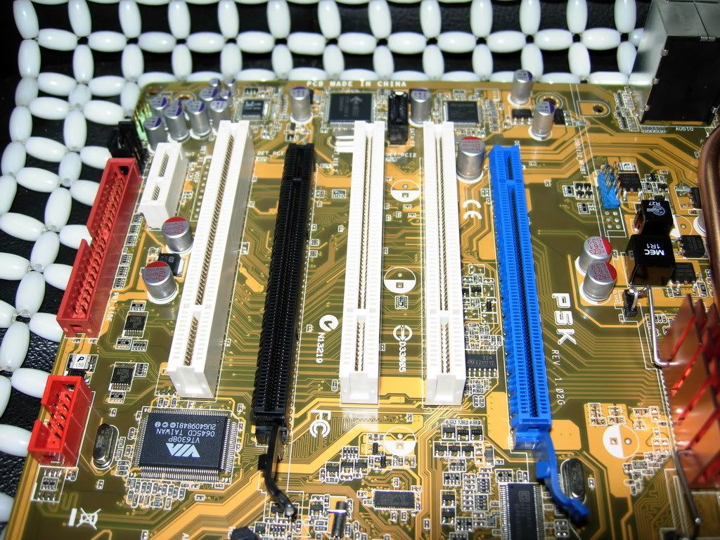 DSCN2303.jpg