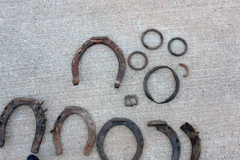 Horseshoes-and-harness-hardware.jpg