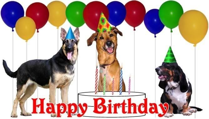 happyb-dayanimals-1.jpg