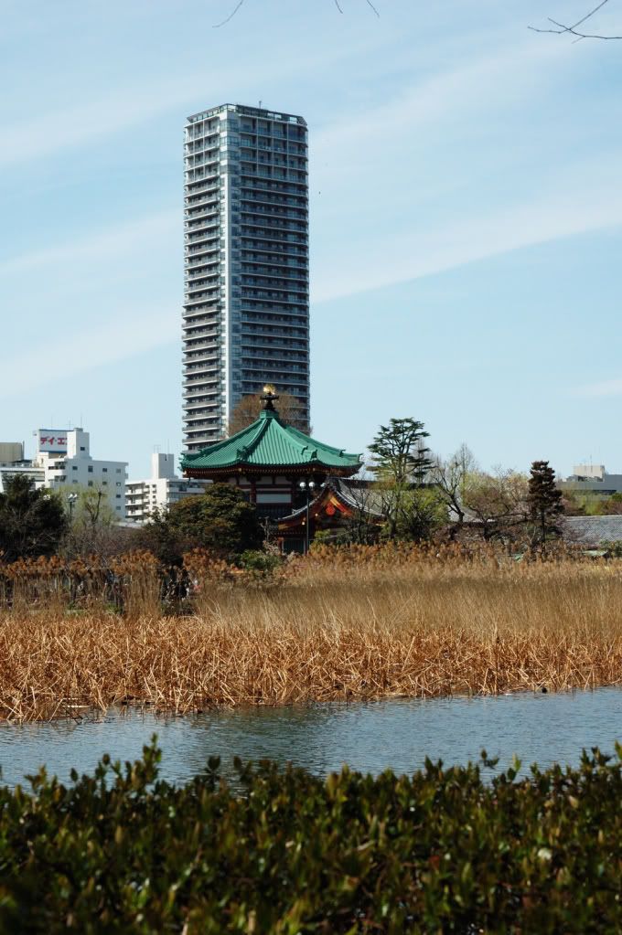 DSC_0562.jpg