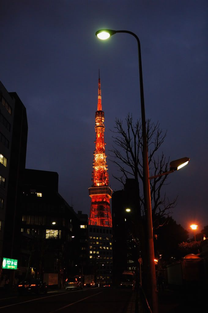 DSC_1186.jpg